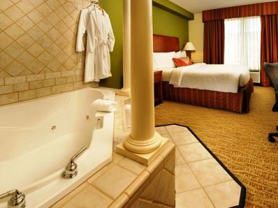 Hilton Garden Atlanta Nw/kennesaw-town Center Kennesaw